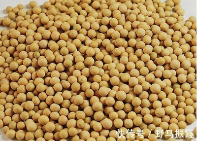 子宫肌瘤|3物是子宫肌瘤的“死对头”,女生经常吃,肌瘤或会慢慢消失!