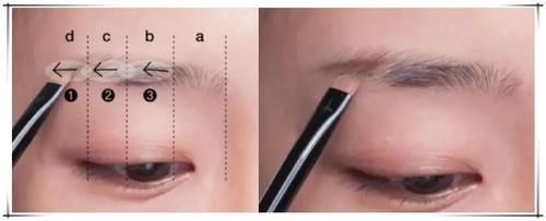 新手画眉方法