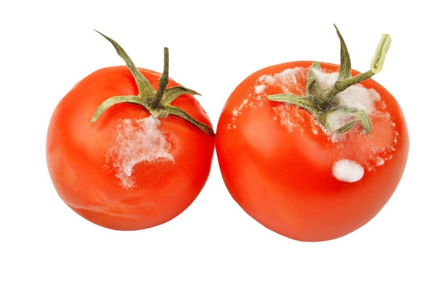 致癌习惯|研究癌症60年,92岁孙院士提醒三大致癌习惯,很多人都有