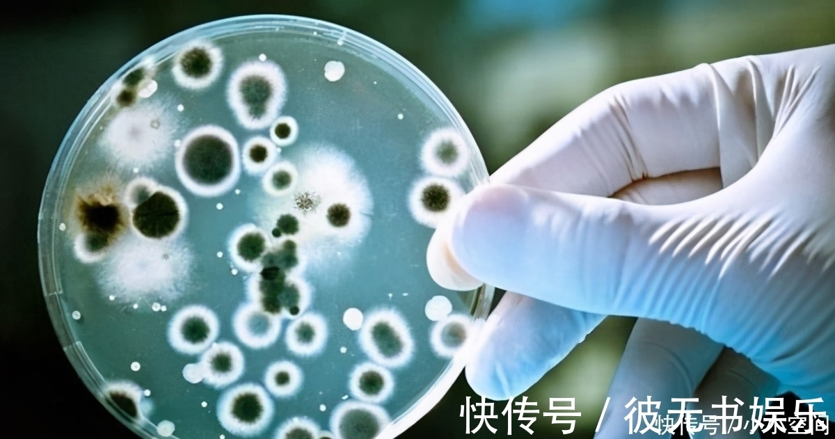 器官|65岁胃科院士，研究胃病36年，远离3件事，养胃除菌，可参考