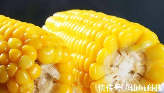 怀孕期间|孕妈若想胎儿出生更聪明,平时要吃这4物,或能促进胎儿大脑发育