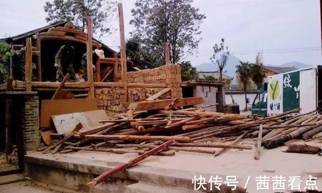 张大姐养多肉, 连屋顶也不放过, 8年种了3万棵!