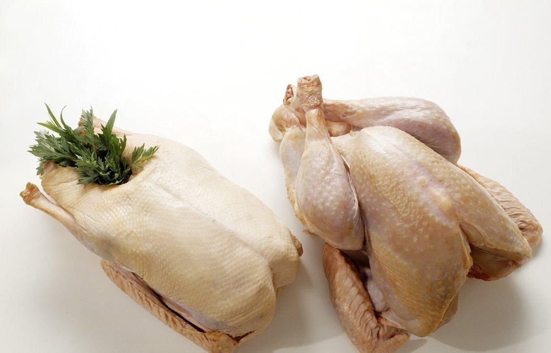 經(jīng)常氣短乏力常吃此物可健脾利濕,除痹緩急,改善胸悶氣短