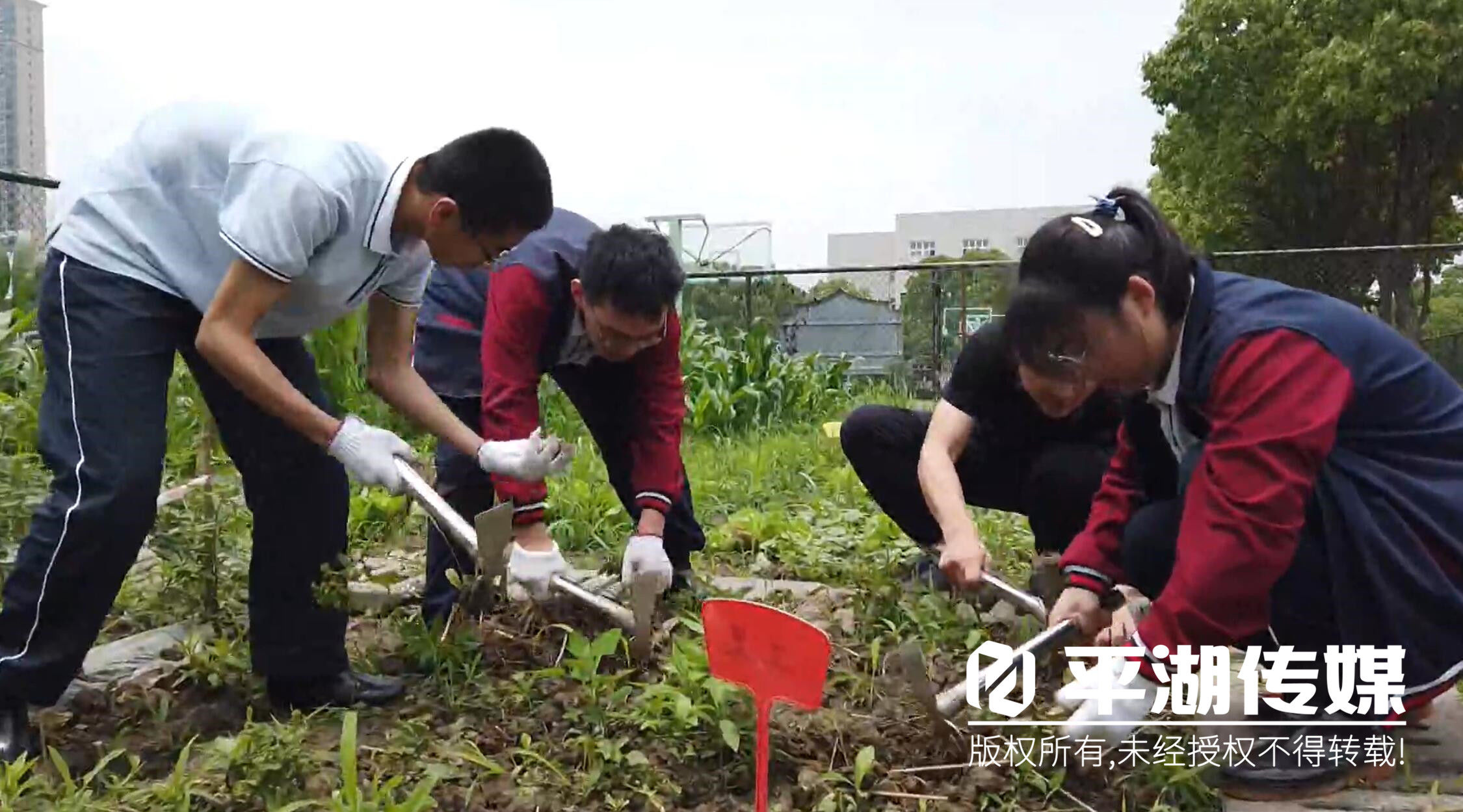 土豆|为高三学子加油！平湖学生考前祝福“马到成功”