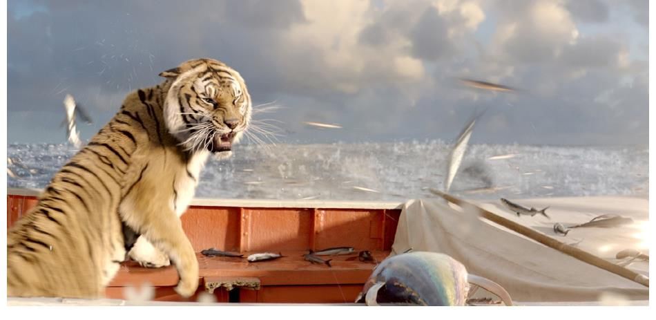 动物园|影视推荐《少年派的奇幻漂流》