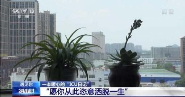 icu|遇见你丨这本上万字的特殊日记 让艰苦的ICU治疗充满爱和温暖