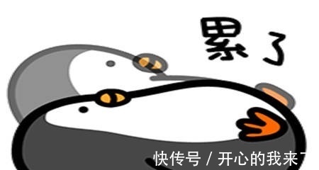 |幽默笑话:今天是和老婆的结婚纪念日,我特地买了束玫瑰接她下班