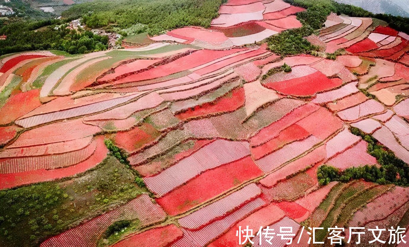 春天里|在最美的春天里，用一场滇东南春色之旅，开启你一年的好运