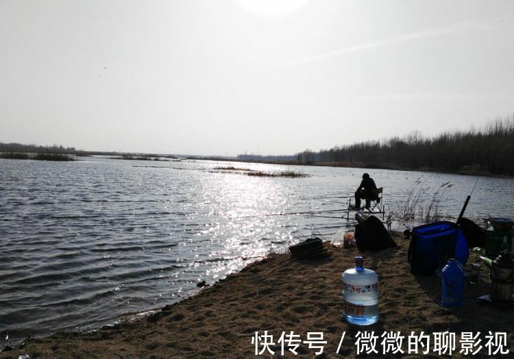 学会四钓四不钓,钓鲫鱼,易如反掌