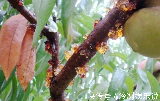 皱纹|皱纹最怕见的碱性食物,睿智女人经常吃,雌激素满满不衰老