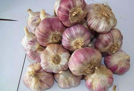 养花高手浇花时,总是在水里加一点“体液”,难怪养一盆旺一盆!