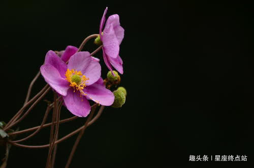 阴历|阴历哪些日子出生的人，天生是孝子，注定穷不过中年，有钱有势