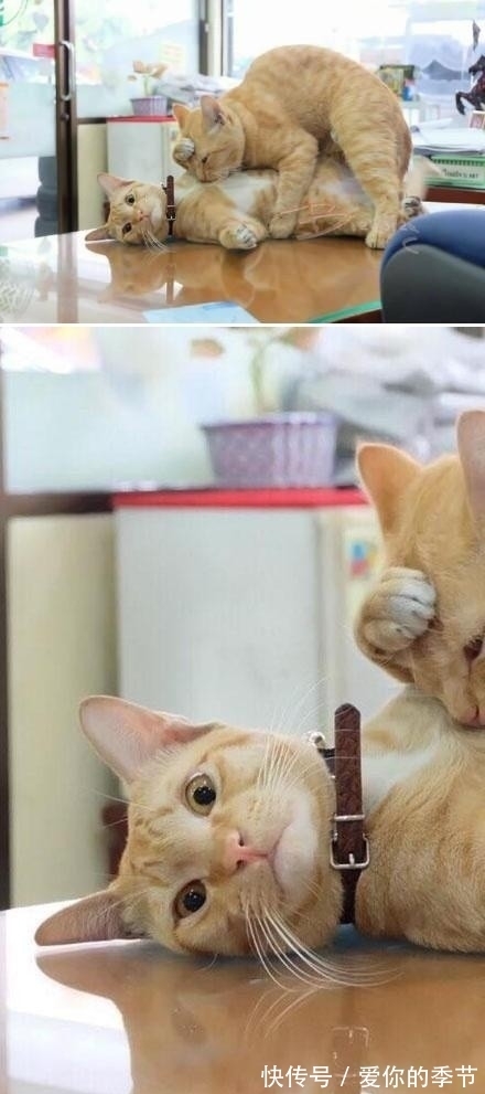 |幽默搞笑段子集:商场的按摩椅专区真是欢乐无穷啊,哈哈哈哈哈哈