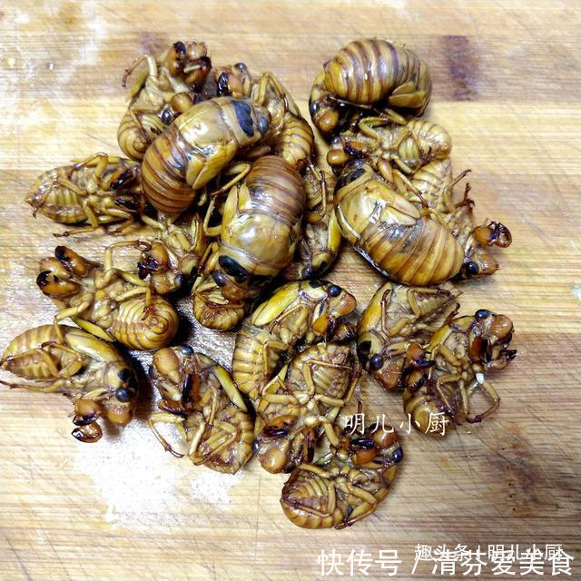 知了|这馅的饺子九成人没吃过，高蛋白低脂肪正当季，味道很香孩子爱吃