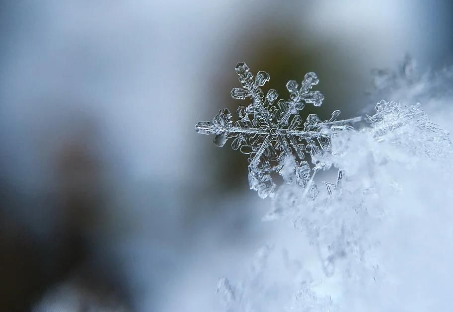  衷情|雪寄衷情：看10位名作家笔下的雪