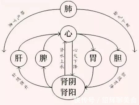 阳陵泉穴|胆经一通,万病无踪!1个穴位通肝胆,5大疾病全解决