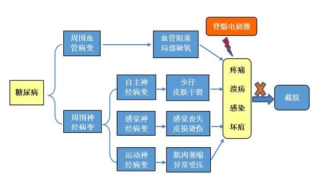 坏死|患了糖尿病足，如何避免肢体坏死，甚至截肢？