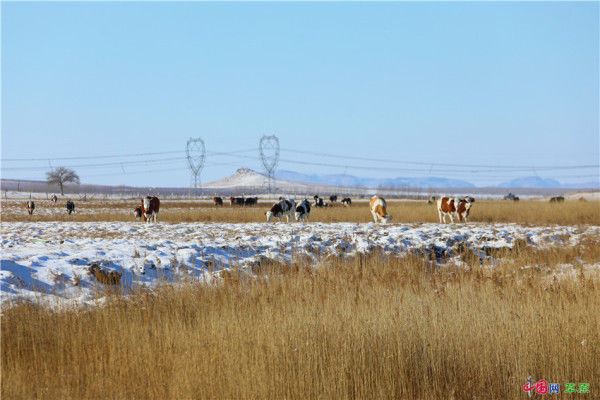 老年|行摄草原丨行走冬日最美山地草原 “科尔沁后花园”雪景壮美