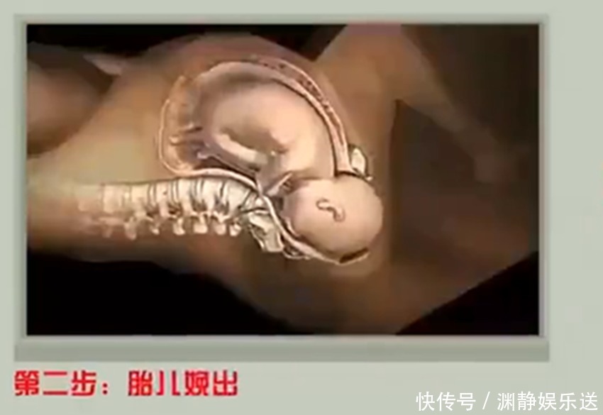 分娩|产妇分娩时胎儿在干嘛看完眼眶湿润了,真的不止你一个人在努力