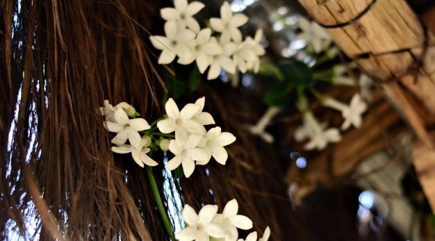 教养&一个人深到骨子里的教养,都藏在这25个为人处世的细节里,别不信