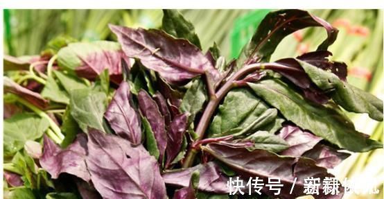 红凤菜|农村一种野菜，人称“红凤菜”，以前常吃，却不知是有毒的