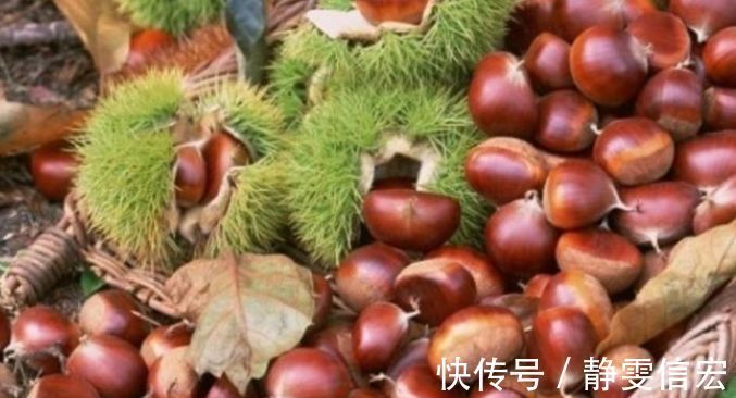 视网膜|女性最爱吃3种食物,营养丰富、改善体质,好处多多!