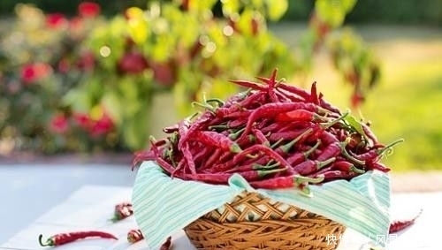 古人生活有多难?别被电视剧骗了,看完或许你再也不想穿越过去了