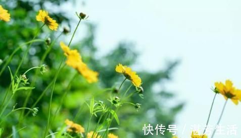 晚期|肺癌晚期还可以活多久?治疗改变生存,不一样的情况不一样的结局