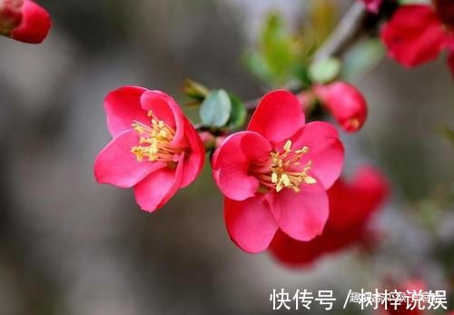 鼠女|谁家女人属此生肖，是家里的“财神爷”，为家里人招财纳福