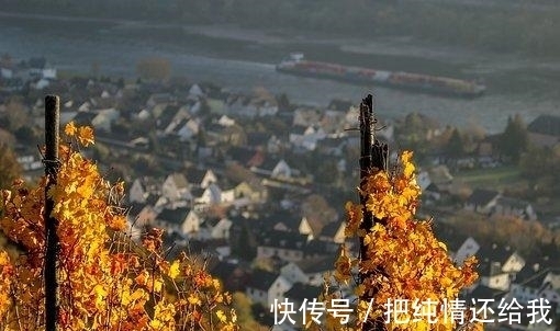 旧爱|3天后，相思彻骨，真爱靠近，重修旧好，旧爱奔来，共度余年