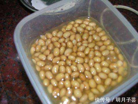 枝条|养文竹,有3个“小方法”,分枝多,叶茂盛,郁郁葱葱长爆盆