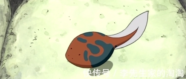 文太|火影忍者里鸣人通灵兽:蛤蟆吉的成长历程