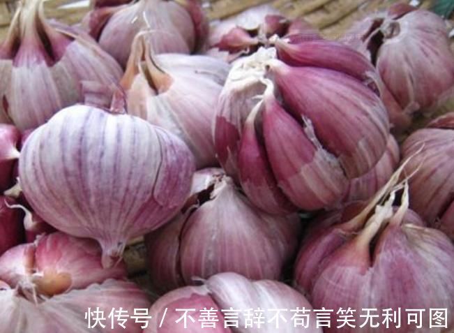 原来保存大蒜这么简单,教您一招,1年不干瘪发芽,不怕蒜涨价了