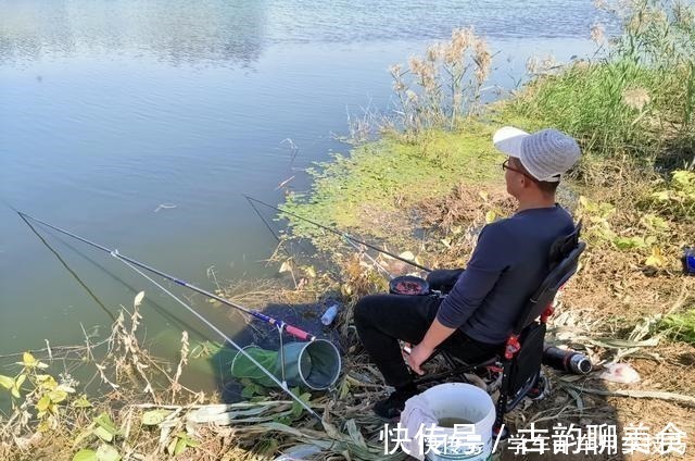 饵料|冬季野钓鲫鱼，饵料重要但不是核心，那谁才是关键