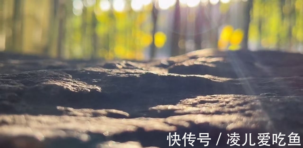 詩人$山長不見秋城色,日暮蒹葭空水云。兩首送別詩,情深意長含蓄深沉