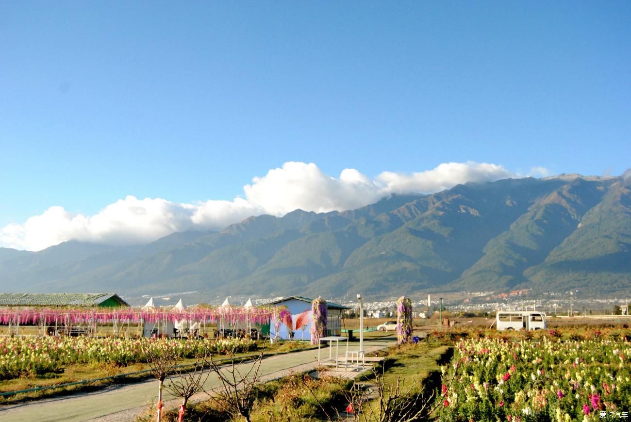 陶然|到陶然田舍和云起网红地旅拍