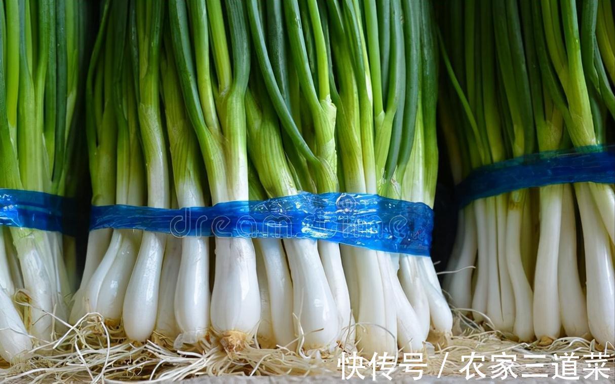 买回来的大葱,别随便放在地上,教你保存技巧,放半年都很新鲜