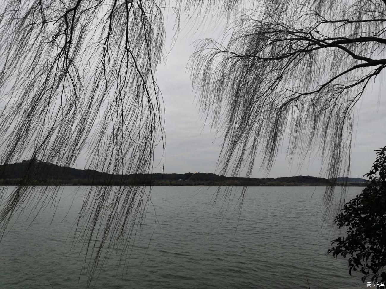 紫叶李|【爱卡踏青季】游石湖美景，你在湖畔走，我在画中游