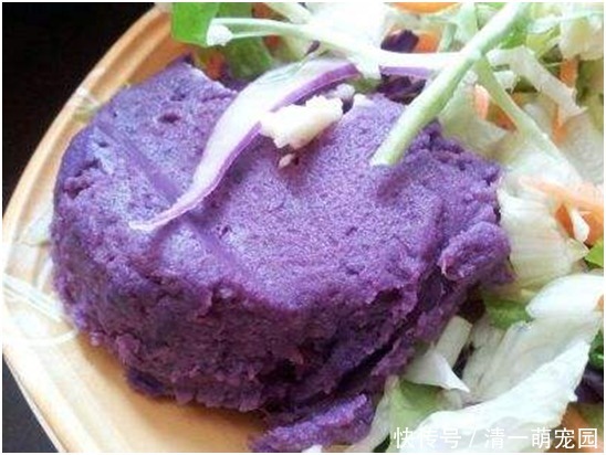 推荐|几道家常菜推荐,开胃又美味,简单易上手,请客吃饭有面子