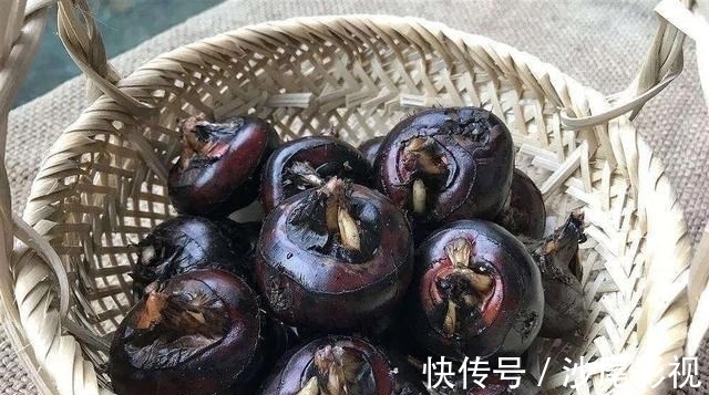 山药|冬天别总吃大鱼大肉,多给家人吃“地下8宝”,补足营养过寒冬