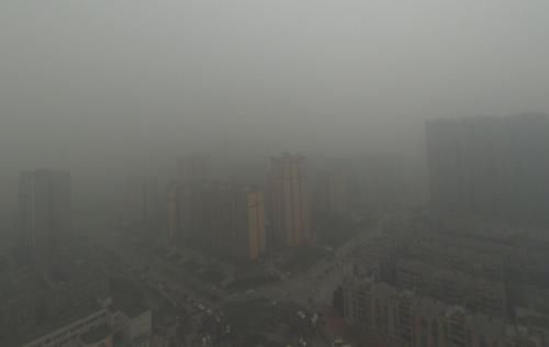 汽车尾气|吃一次相当于10斤猪血，呼吸科医生：肺不好的人常吃，清除肺污，肺越来越强壮