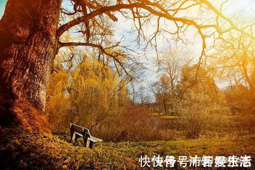 阴历|阴历哪几天出生的孩子,智商高,一个比一个有前途,事业大成