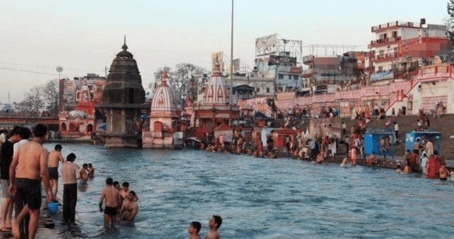  印度人|印度人不吃猪肉,也不吃牛肉,连鱼肉都很挑,那印度人吃什么肉