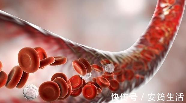 血液|血管好不好，摸这里就知晓！几个动作让血液“一通到底”！