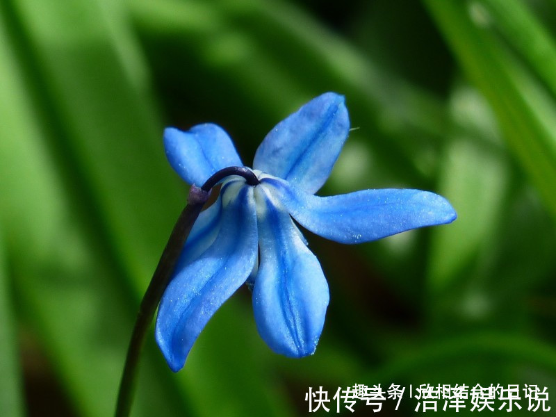 缘分|下个月期间，缘分和桃花努力蜕变，真爱袭来，收获幸福的四大生肖