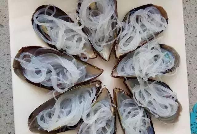 贻贝|这海鲜1斤5块钱，比虾便宜，比螃蟹营养，能补五脏，不懂可惜了