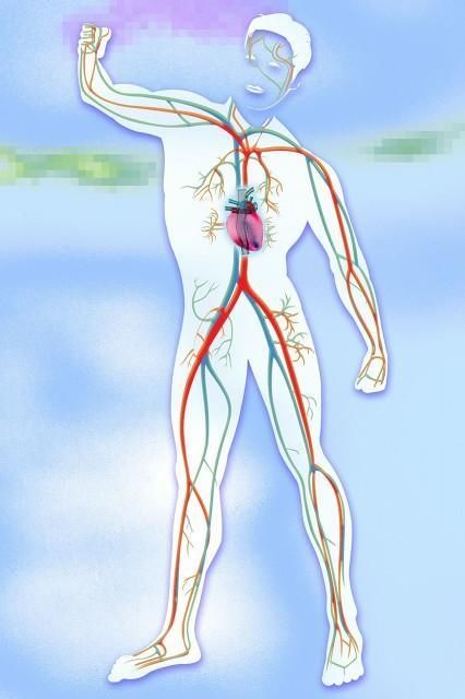 夏天|天气炎热，血压降了，降压药是不是该减量了？心血管医生来教你