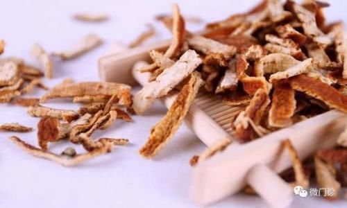 桑科植物桑|两味中药,治肺+治脾,清除黄痰、老痰、黏痰,请你牢记