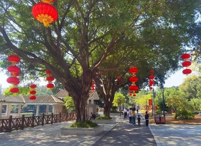 中年|2000平方米花展！流花湖公园11组主题景观华丽亮相