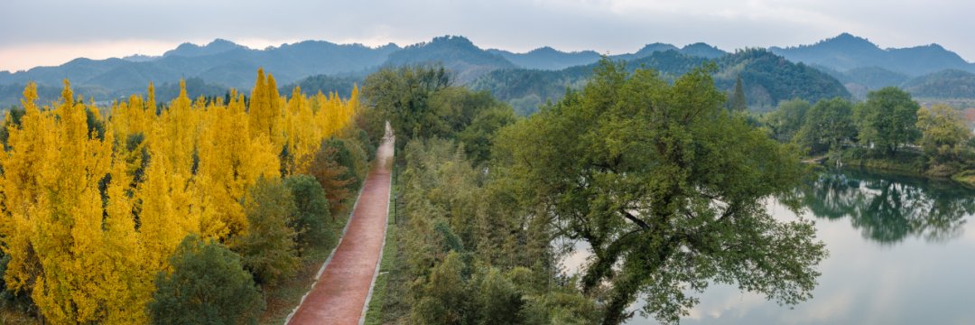 开化|浙江开化：冬日“限定美景”大片来袭！每一处都美得让人惊艳